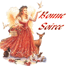 Gif animé bonne soirée joyeux
